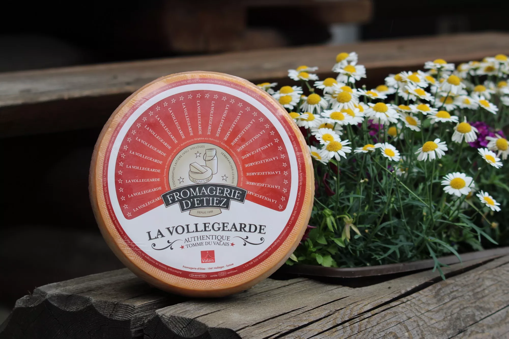 La Vollégearde pièce