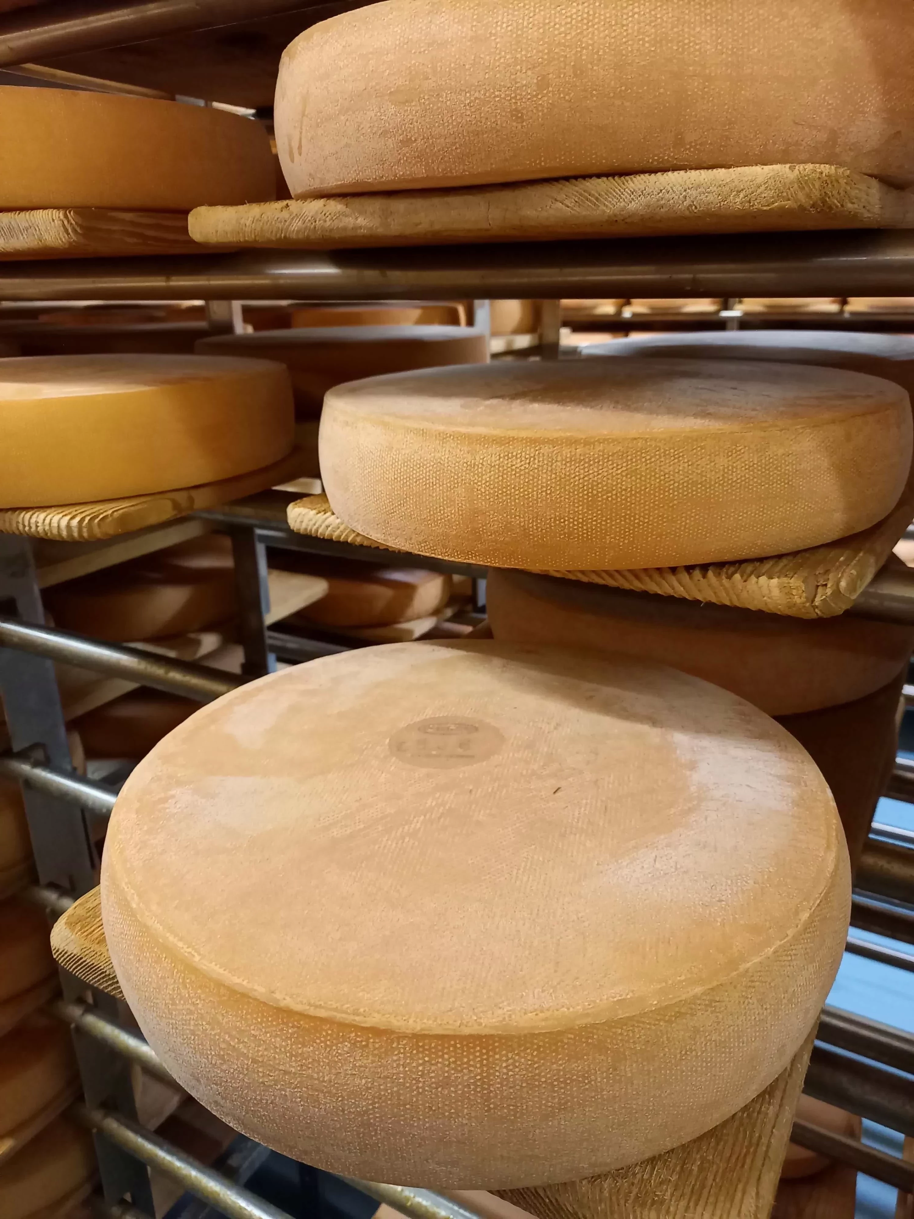 Bagnes Mi-gras 1/1 pièce